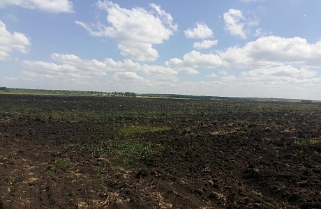 В Камешкирском районе продолжается работа по вводу земель в сельхозоборот В Камешкирском районе продолжается работа по вводу земель в сельхозоборот